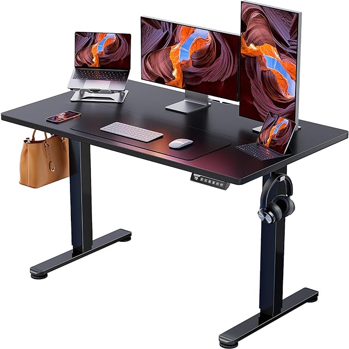 Ergear Height Adjustable Electric Standing Desk