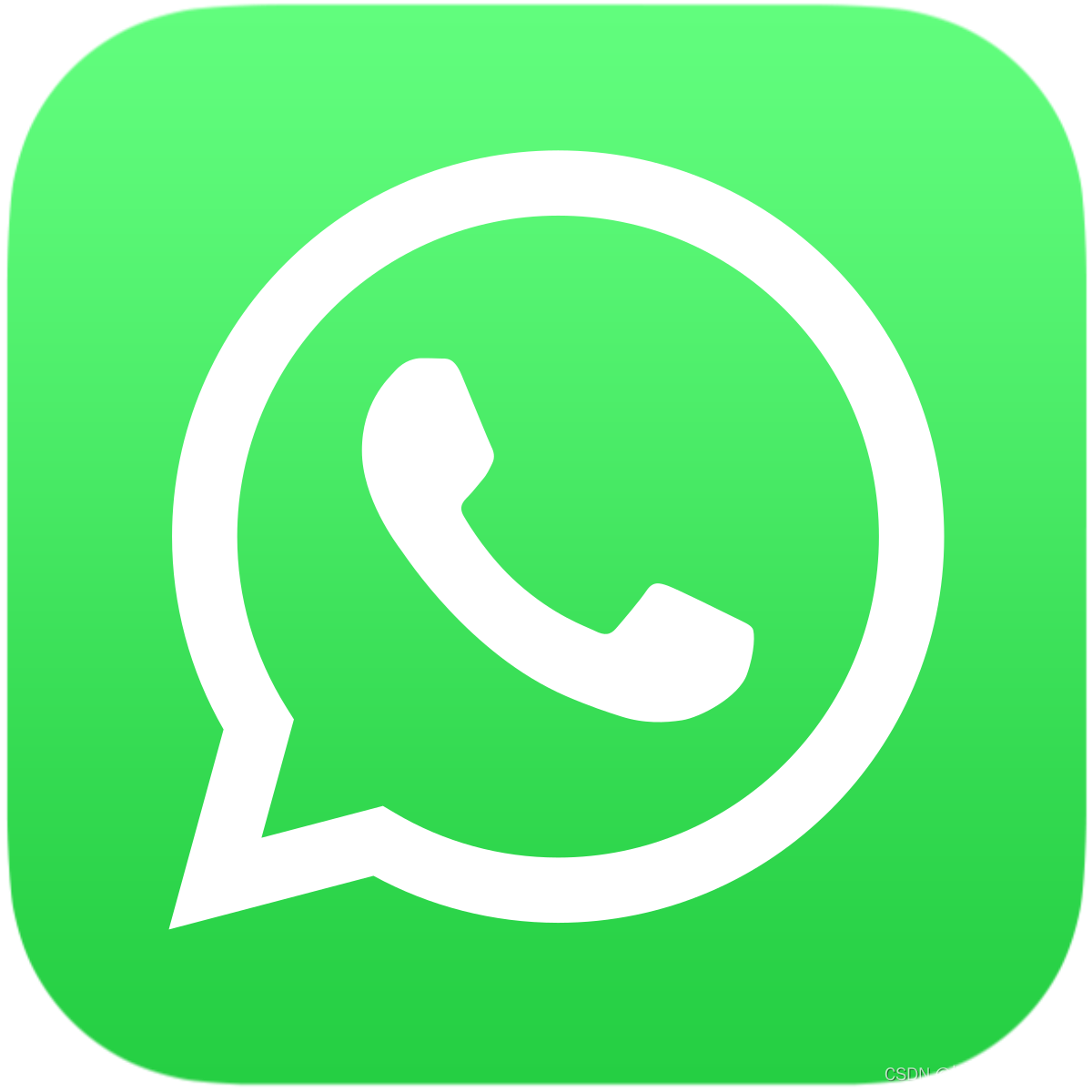 whatsapp网页版登录不了
